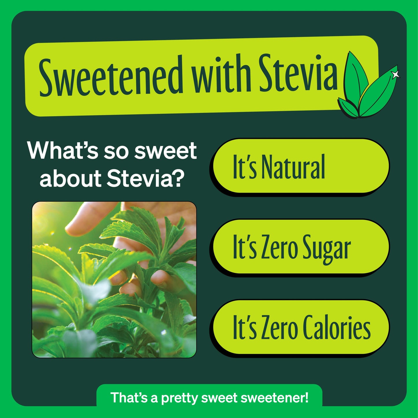 Zevia Zero Sugar Soda, Rainbow Variety Pack, 12 oz Cans (24-Pack) – Naturally Sweetened, Zero Calorie Sugar Free Soda - Non-GMO Project Verified, Gluten-Free, Vegan