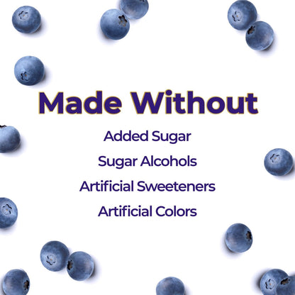 ChocZero Keto Blueberry Fruit Spread, No Added Sugar, Low Carb, All Natural Fruit Jam, Sweetened with Monk Fruit (1 jar, 12 oz)